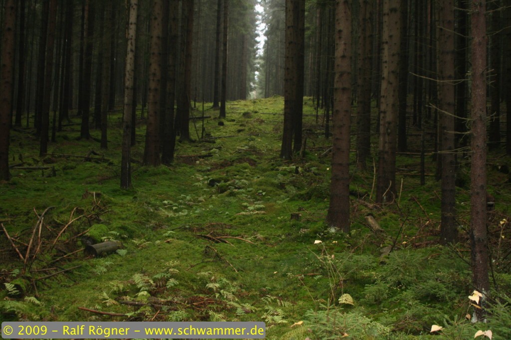 Landschaft