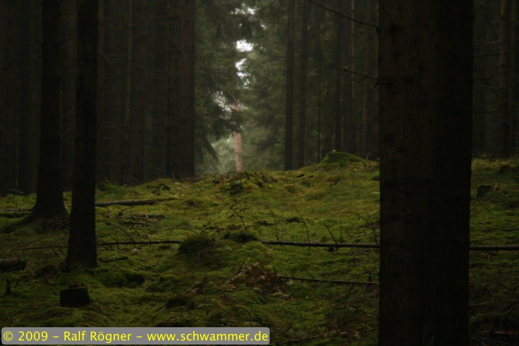 Landschaft