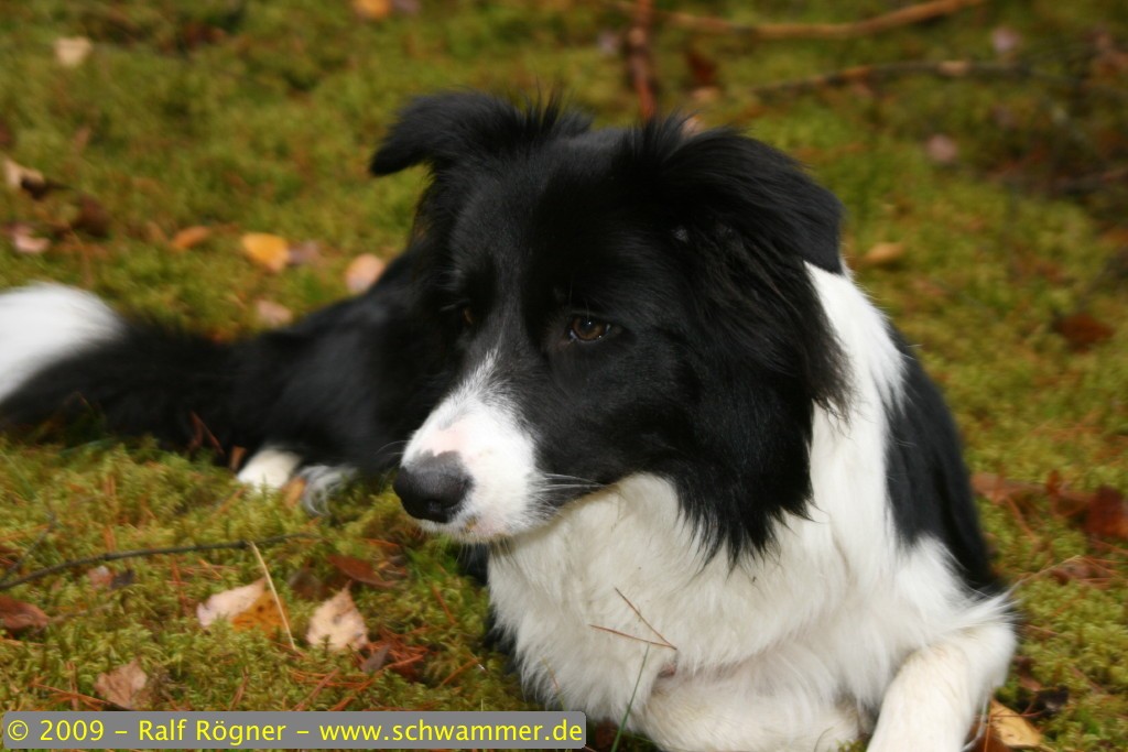 Molly