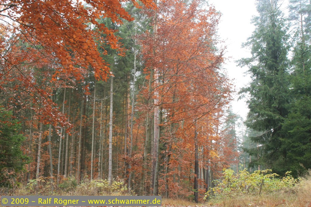 Landschaft