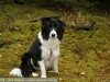 Molly