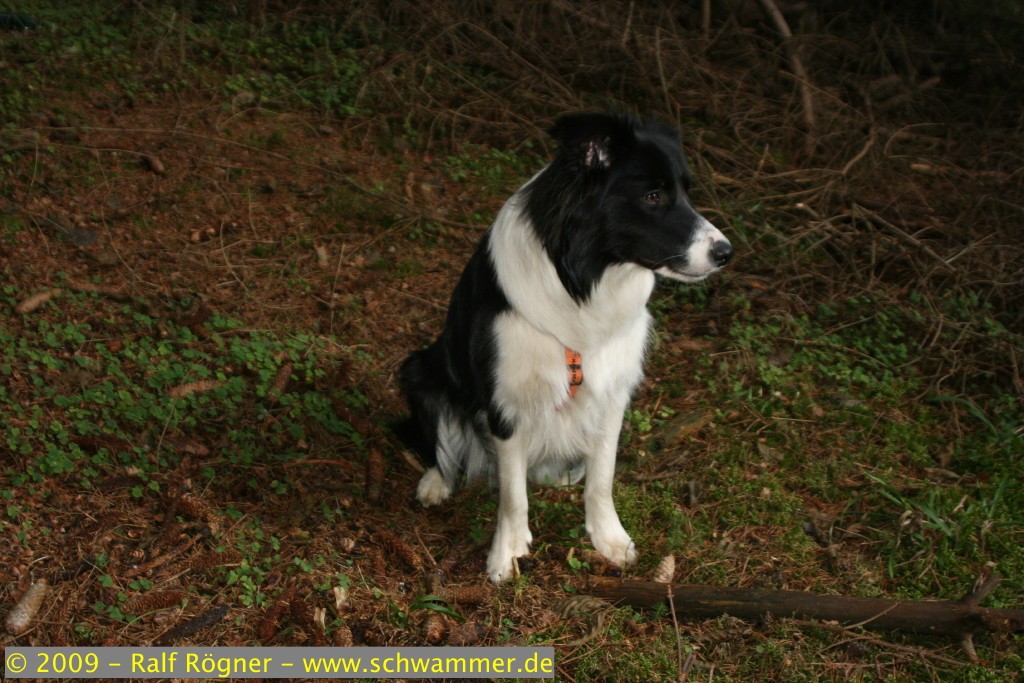 Molly
