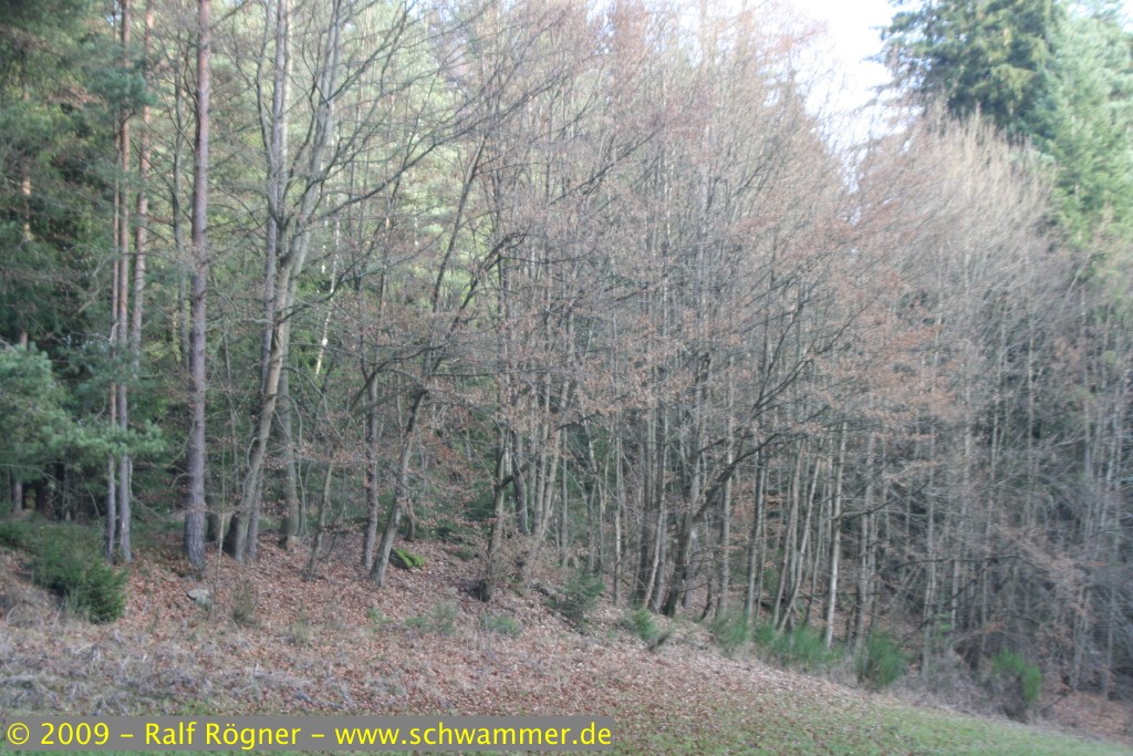 Herbstlandschaft