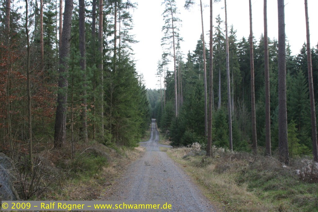 Waldweg