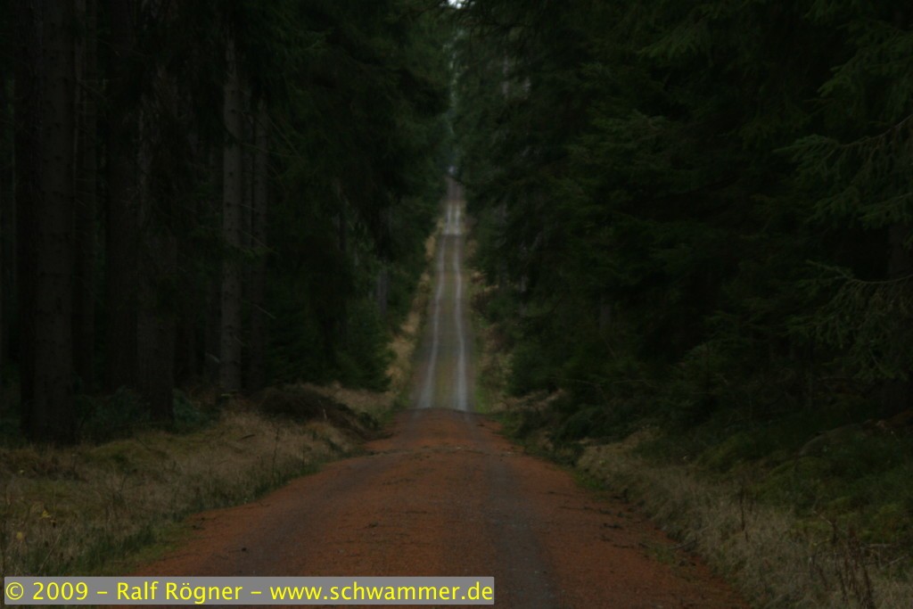 Waldweg
