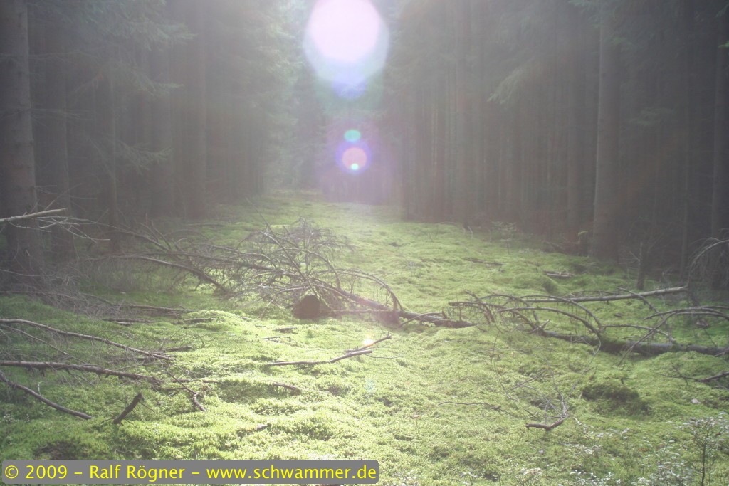 Lensflare