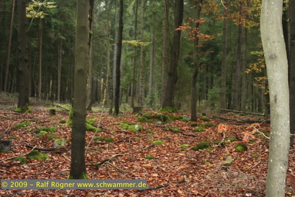 Landschaft