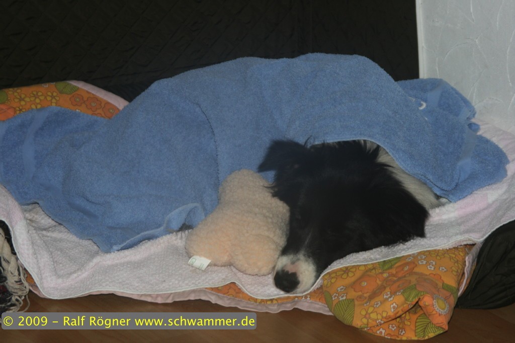 Müde Molly
