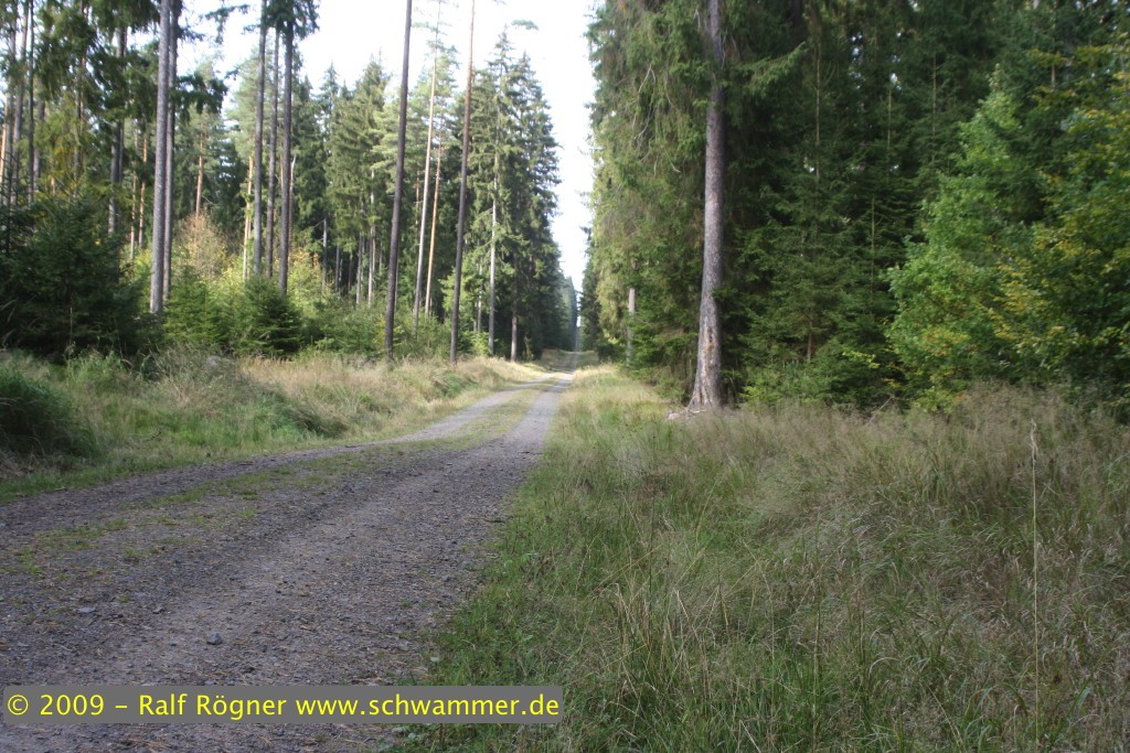 Weg